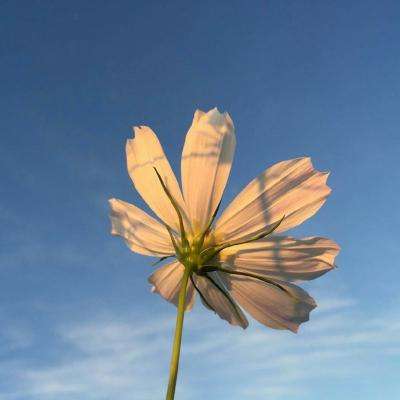 半岛·综合中国官方网站